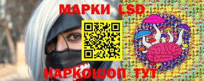 гидра Пенза