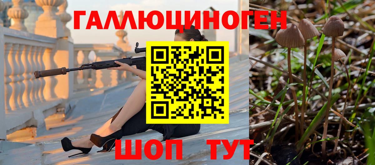 Галлюциногенные грибы GOLDEN TEACHER Холмск