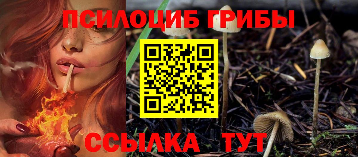 Псилоцибиновые грибы Magic Shrooms  Галлюциногенные грибы GOLDEN TEACHER  Холмск  Вход с VPN 